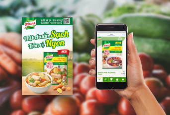 knorr case study
